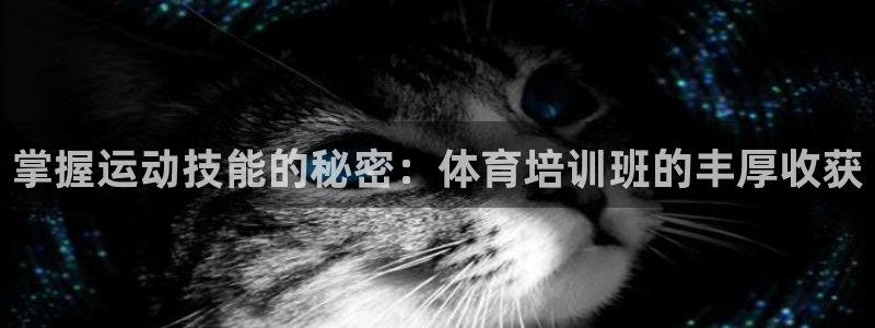富联官方网站入口查询电话：掌握运动技能的秘密：体育培训班的丰