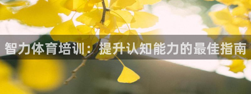 富联娱乐正规吗安全吗：智力体育培训：提升认知能力的最