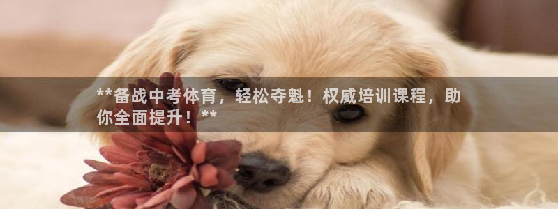 富联集团最新消息新闻：**备战中考体育，轻松夺魁！权